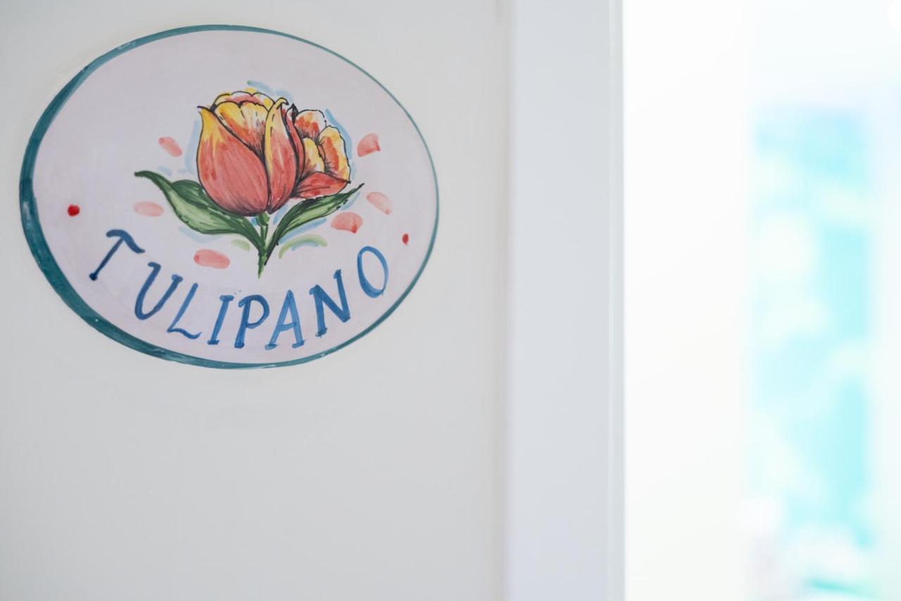B&B L'Abbraccio Casola di Napoli Εξωτερικό φωτογραφία